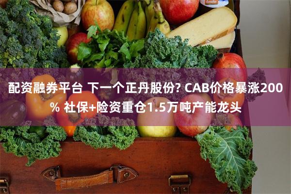 配资融券平台 下一个正丹股份? CAB价格暴涨200% 社保+险资重仓1.5万吨产能龙头
