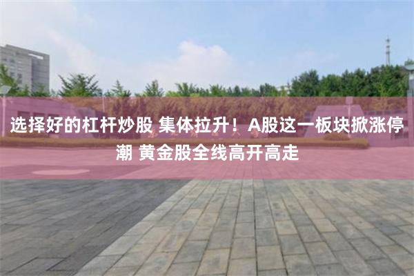 选择好的杠杆炒股 集体拉升！A股这一板块掀涨停潮 黄金股全线高开高走