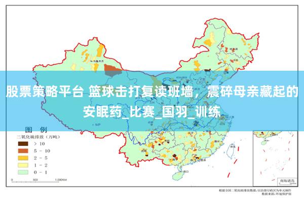股票策略平台 篮球击打复读班墙，震碎母亲藏起的安眠药_比赛_国羽_训练