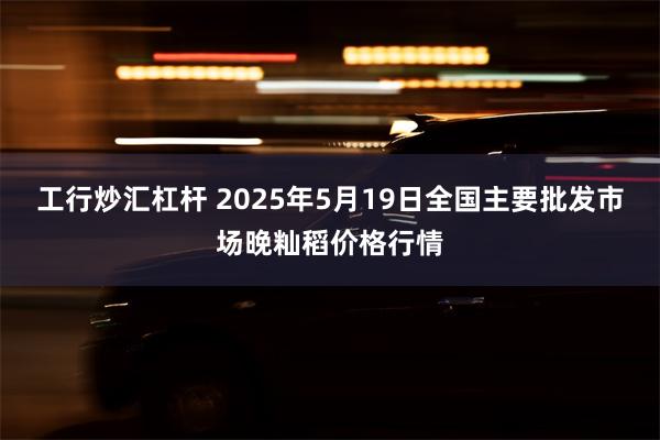 工行炒汇杠杆 2025年5月19日全国主要批发市场晚籼稻价格行情