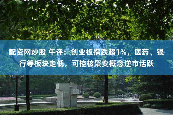 配资网炒股 午评：创业板指跌超1%，医药、银行等板块走低，可控核聚变概念逆市活跃