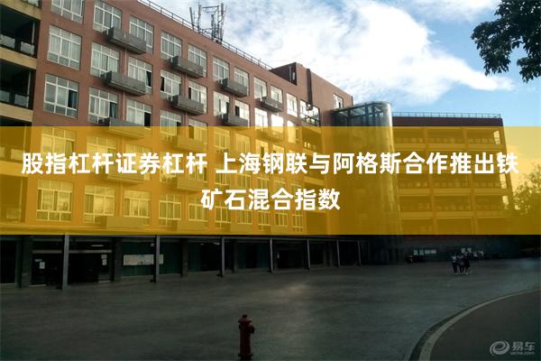 股指杠杆证券杠杆 上海钢联与阿格斯合作推出铁矿石混合指数
