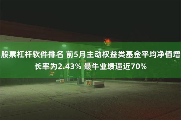 股票杠杆软件排名 前5月主动权益类基金平均净值增长率为2.43% 最牛业绩逼近70%
