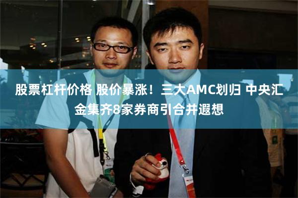 股票杠杆价格 股价暴涨！三大AMC划归 中央汇金集齐8家券商引合并遐想