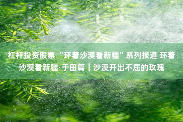 杠杆投资股票 “环着沙漠看新疆”系列报道 环着沙漠看新疆·于田篇｜沙漠开出不屈的玫瑰